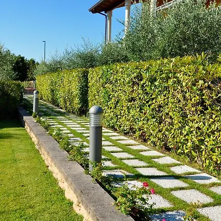 Belvedere